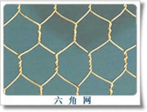 Hexagonal Wire Mesh